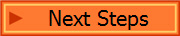 Next Steps