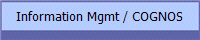 Information Mgmt / COGNOS